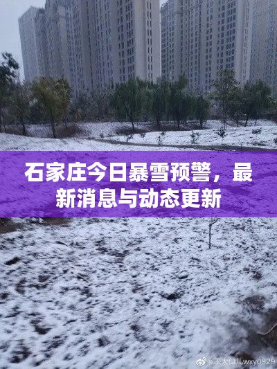 石家庄今日暴雪预警,最新消息与动态更新