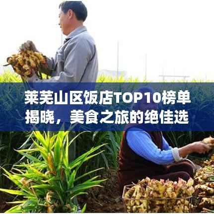莱芜山区饭店TOP10榜单揭晓,美食之旅的绝佳选择,不容错过!
