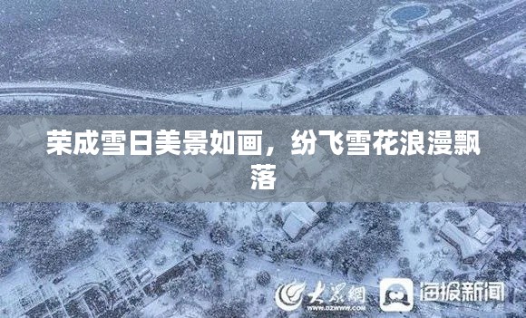 荣成雪日美景如画,纷飞雪花浪漫飘落