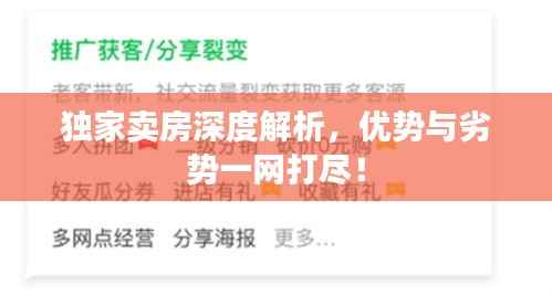 独家卖房深度解析,优势与劣势一网打尽!