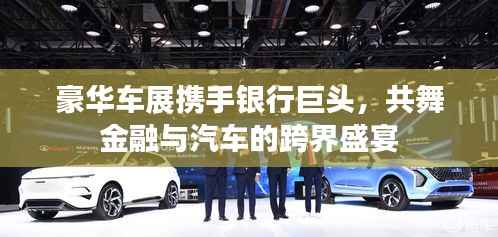 豪华车展携手银行巨头,共舞金融与汽车的跨界盛宴