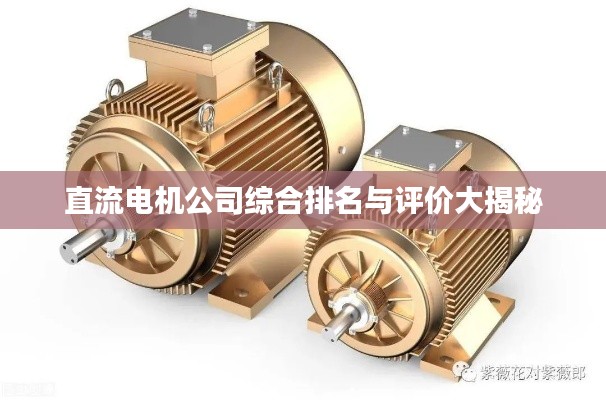 直流电机公司综合排名与评价大揭秘