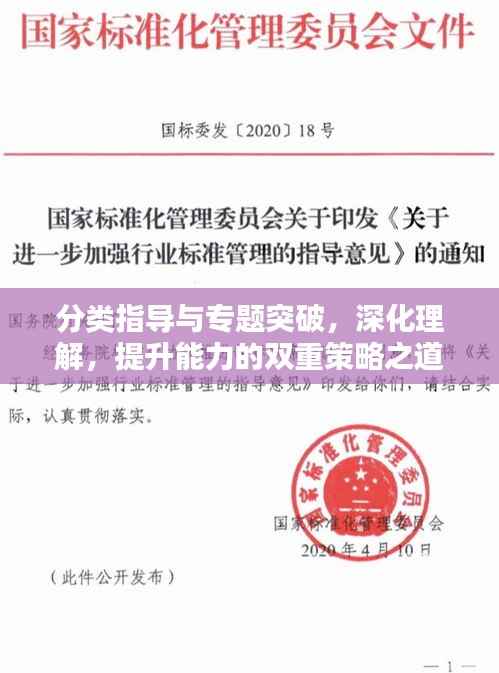 分类指导与专题突破,深化理解,提升能力的双重策略之道