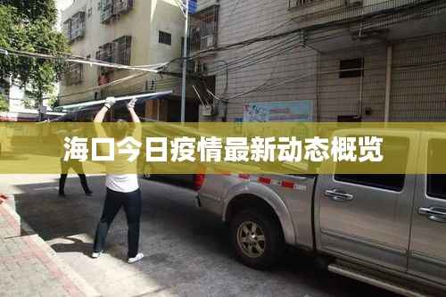 海口今日疫情最新动态概览