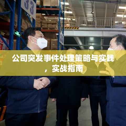公司突发事件处理策略与实践,实战指南