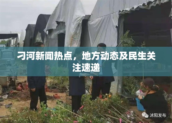刁河新闻热点,地方动态及民生关注速递