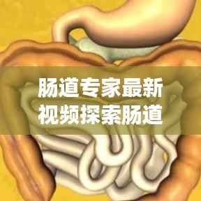 肠道专家最新视频探索肠道奥秘,健康之路从这里开始
