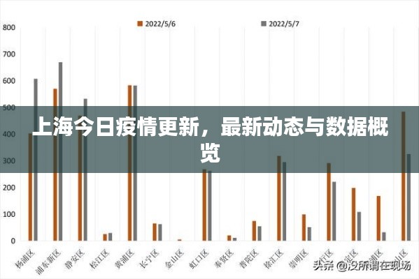 上海今日疫情更新,最新动态与数据概览