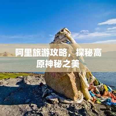 蚁出蚋飞