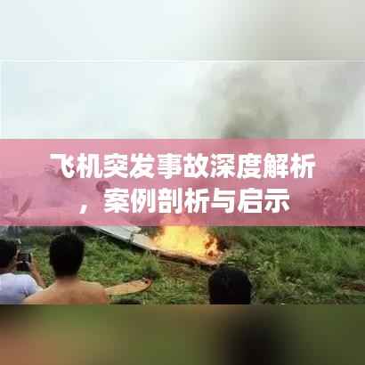 飞机突发事故深度解析,案例剖析与启示