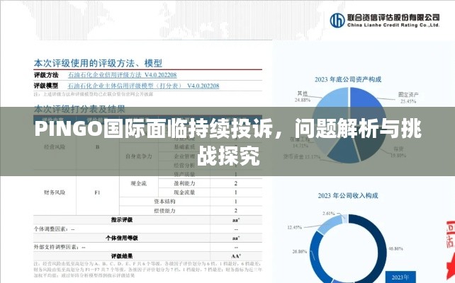 PINGO国际面临持续投诉,问题解析与挑战探究