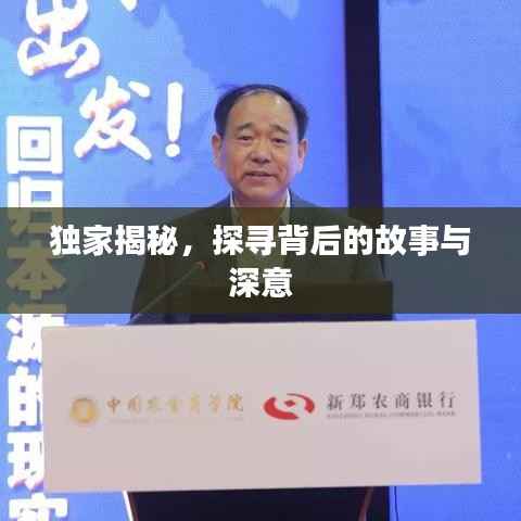 独家揭秘，探寻背后的故事与深意