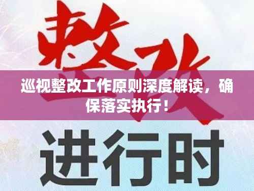 巡视整改工作原则深度解读,确保落实执行!