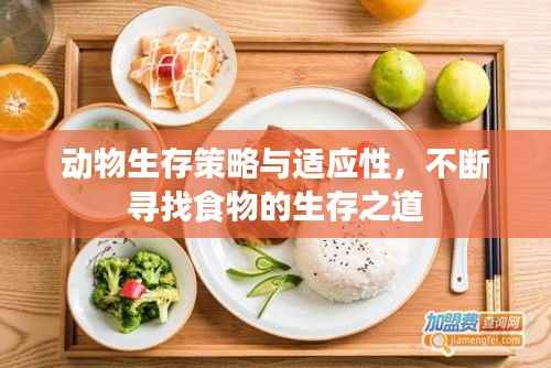 动物生存策略与适应性,不断寻找食物的生存之道