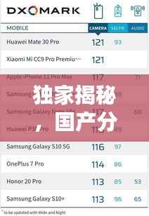 独家揭秘,国产分装机公司排名榜单,行业权威榜单一网打尽!