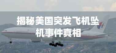 揭秘美国突发飞机坠机事件真相