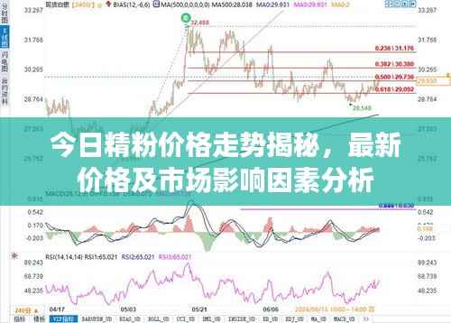 今日精粉价格走势揭秘,最新价格及市场影响因素分析