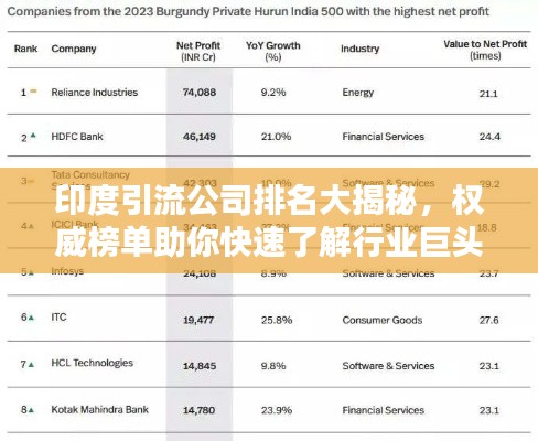 印度引流公司排名大揭秘，权威榜单助你快速了解行业巨头！