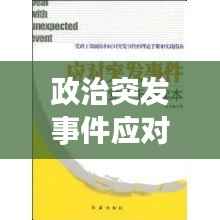 政治突发事件应对之道,危机处理与策略解析