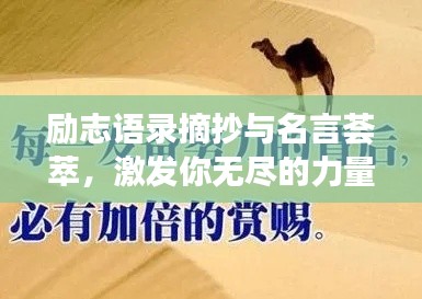 励志语录摘抄与名言荟萃,激发你无尽的力量源泉