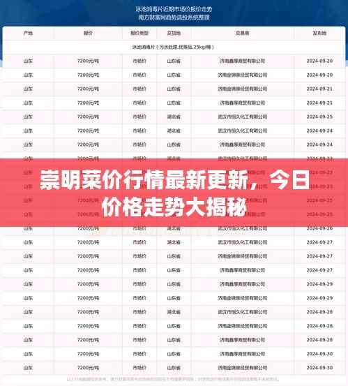 崇明菜价行情最新更新,今日价格走势大揭秘