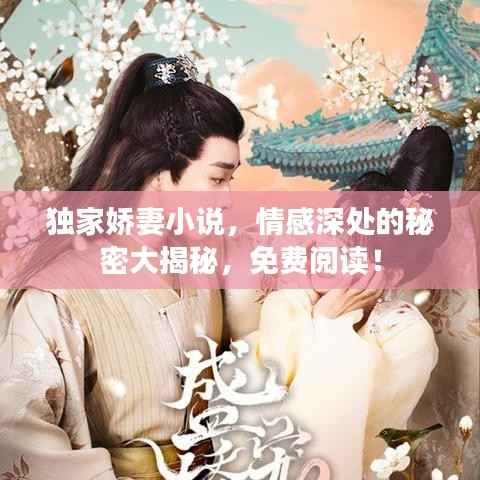 独家娇妻小说,情感深处的秘密大揭秘,免费阅读!