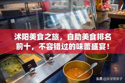 沭阳美食之旅,自助美食排名前十,不容错过的味蕾盛宴!