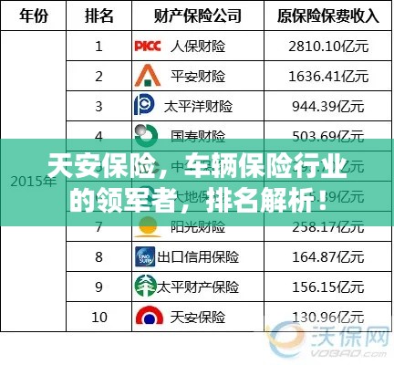 天安保险,车辆保险行业的领军者,排名解析!
