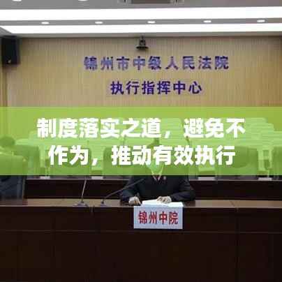 制度落实之道，避免不作为，推动有效执行