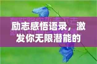 励志感悟语录，激发你无限潜能的深层启示
