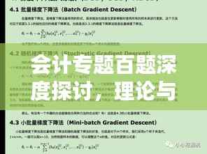 会计专题百题深度探讨,理论与实践应用解析