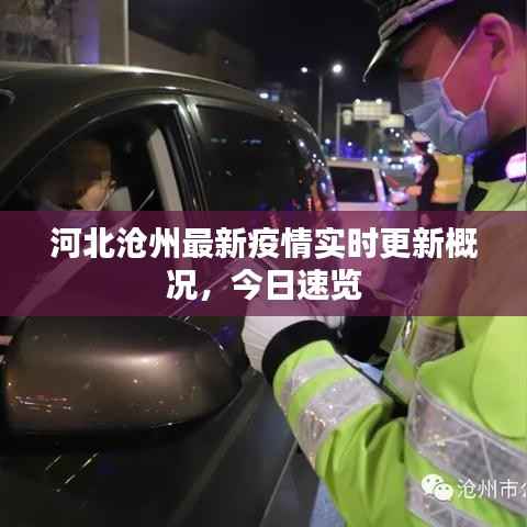 河北沧州最新疫情实时更新概况,今日速览