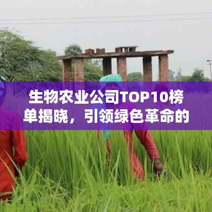 生物农业公司TOP10榜单揭晓,引领绿色革命的先锋力量大放异彩