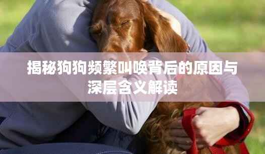 揭秘狗狗频繁叫唤背后的原因与深层含义解读