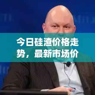 今日硅渣价格走势,最新市场价格分析与预测