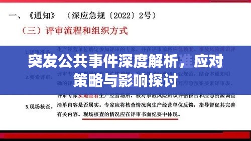 突发公共事件深度解析，应对策略与影响探讨
