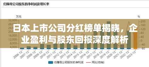 日本上市公司分红榜单揭晓,企业盈利与股东回报深度解析