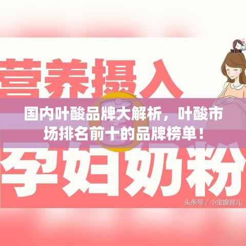 国内叶酸品牌大解析,叶酸市场排名前十的品牌榜单!