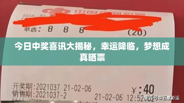 今日中奖喜讯大揭秘,幸运降临,梦想成真晒票
